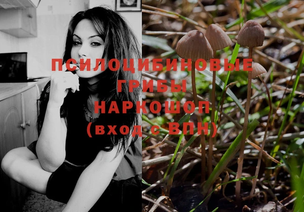 эйфоретик Арсеньев