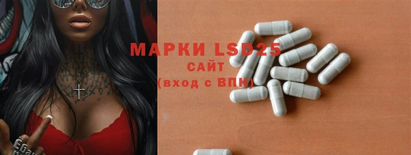 эйфоретик Арсеньев