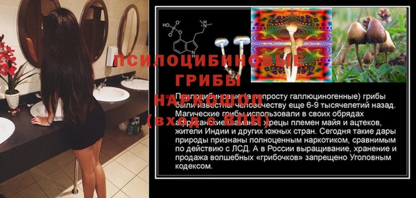 спиды Аркадак
