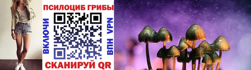 Псилоцибиновые грибы Psilocybe  Бакал 